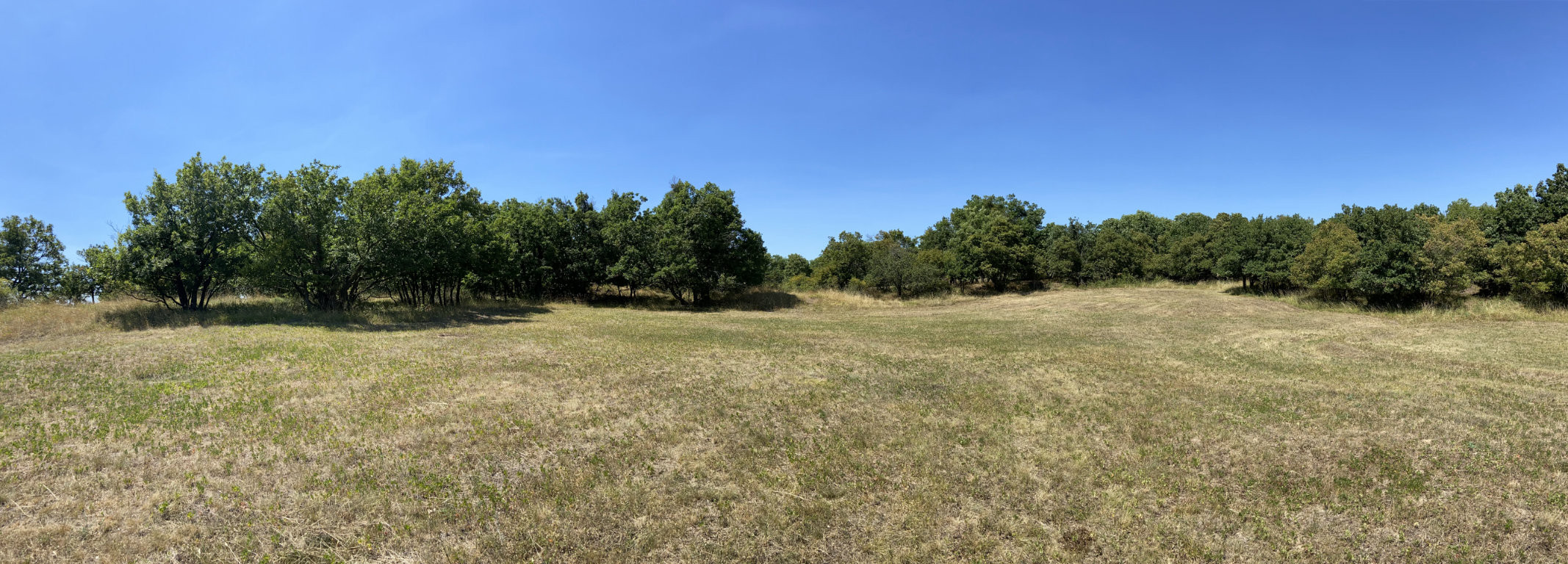 Na predaj pozemok v lokalite Veľké Tŕnie