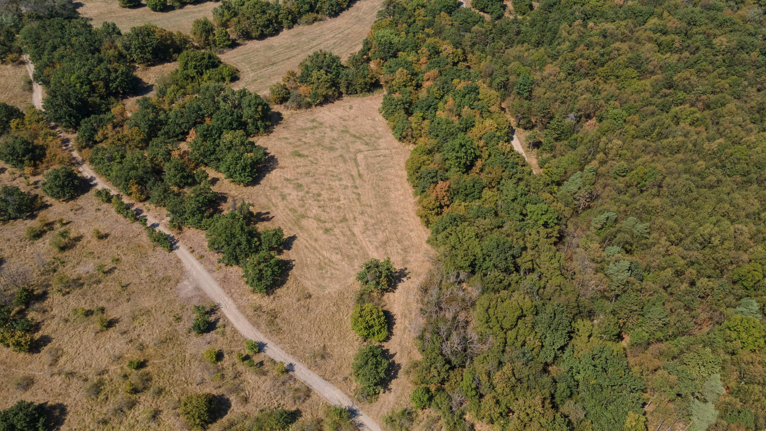 Na predaj pozemok v lokalite Veľké Tŕnie