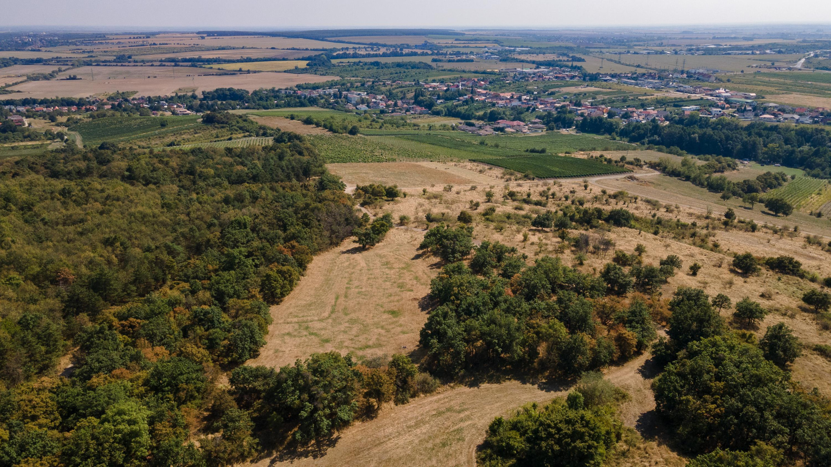 Na predaj pozemok v lokalite Veľké Tŕnie