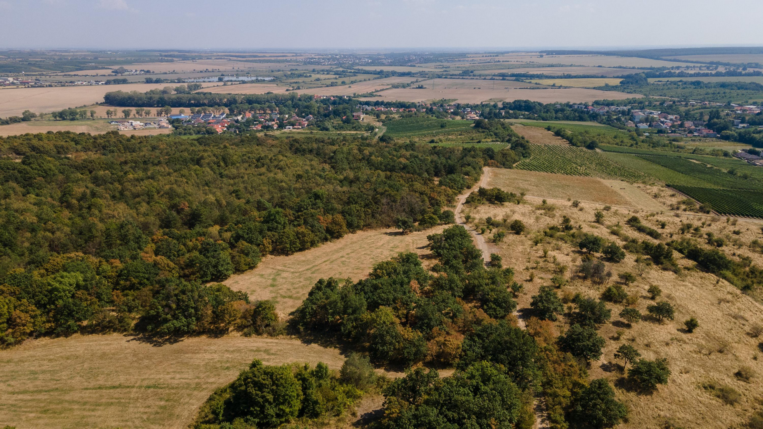 Na predaj pozemok v lokalite Veľké Tŕnie