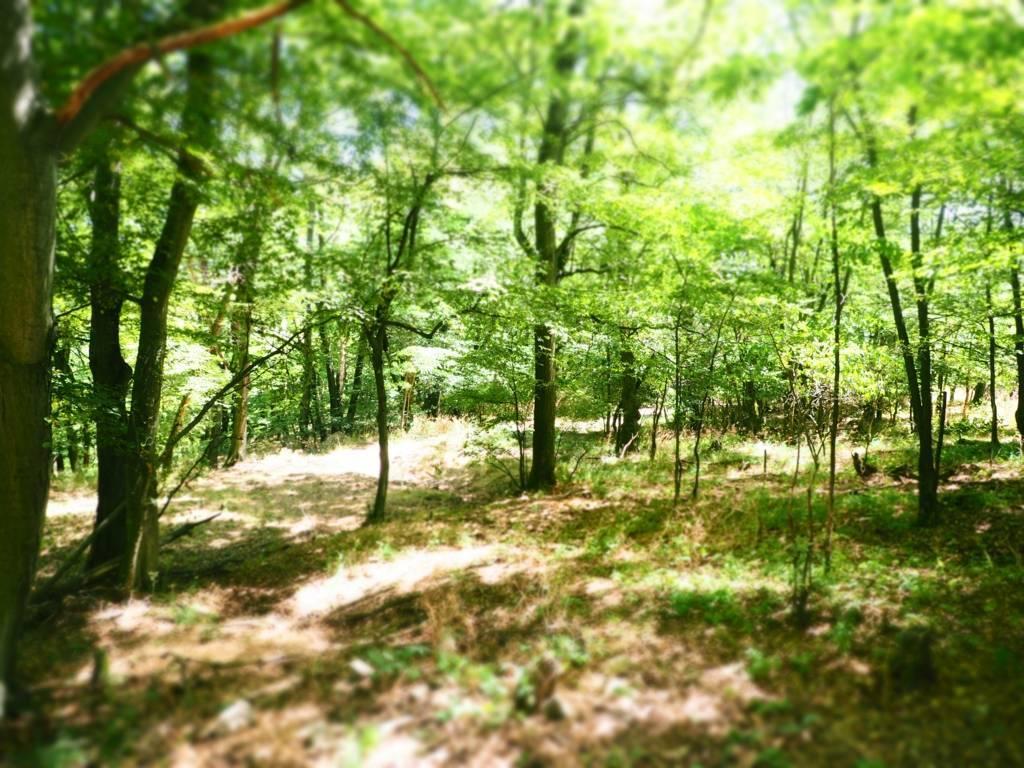 NA PREDAJ: Pozemok (rekreačný) 2033m2, ulica Stará Stupavská, BA III - Rača