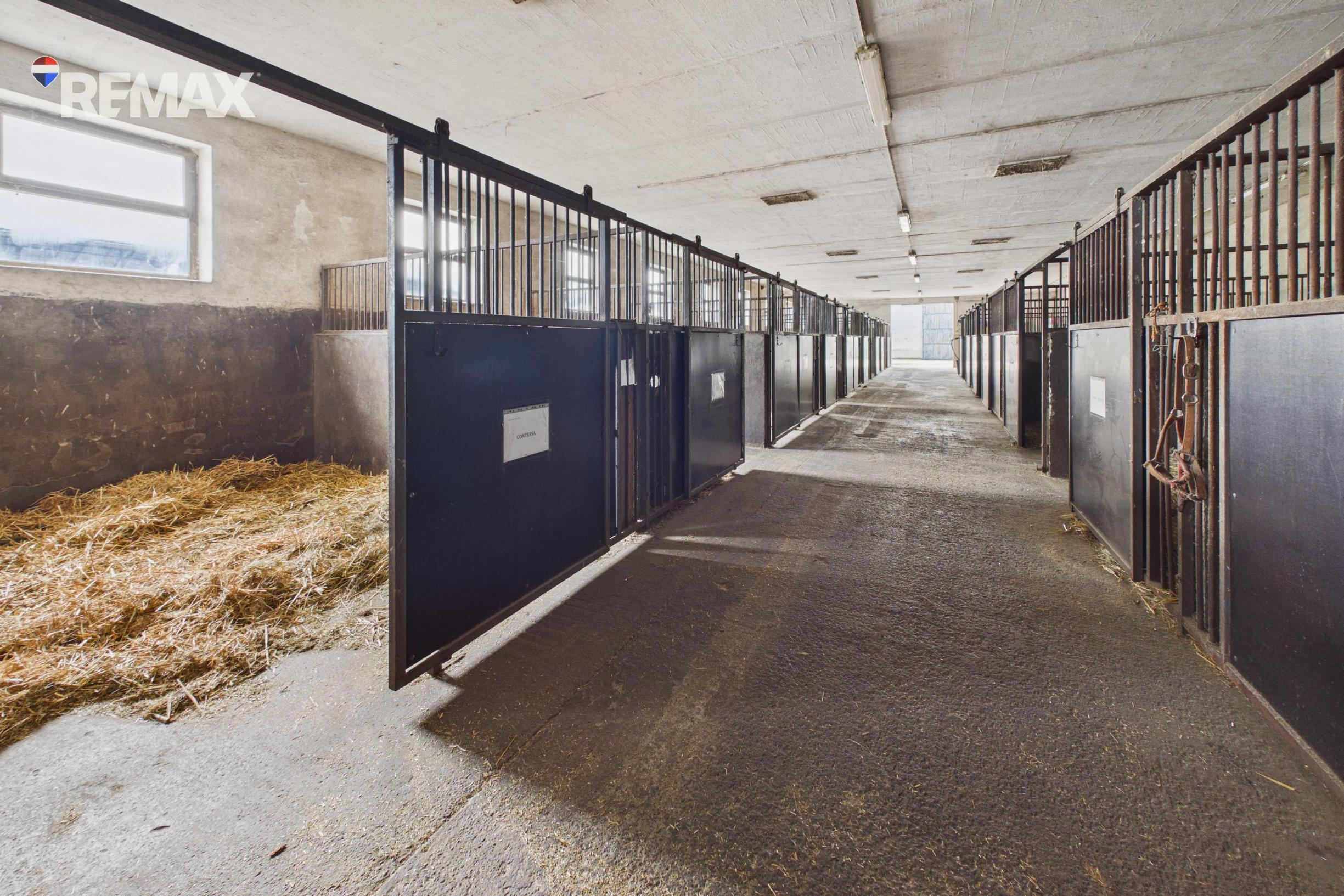 Predaj FARMY | Hurbanovo