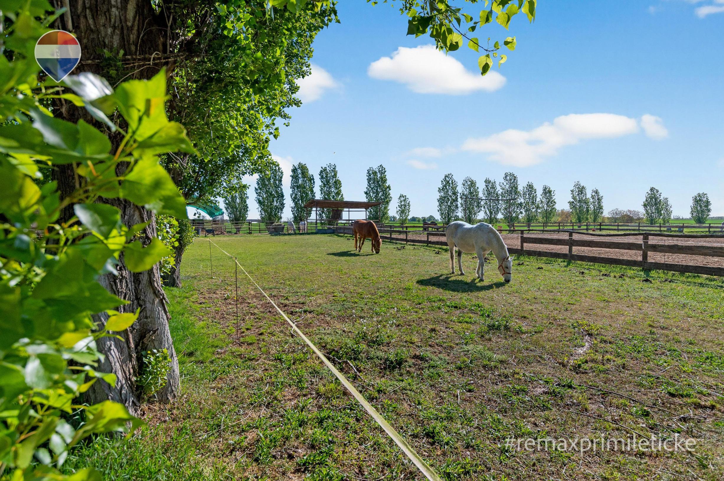 Predaj FARMY | Hurbanovo