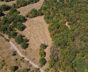 Na predaj pozemok v lokalite Veľké Tŕnie