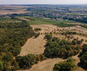 Na predaj pozemok v lokalite Veľké Tŕnie