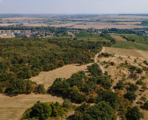 Na predaj pozemok v lokalite Veľké Tŕnie