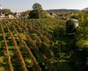 Na predaj exkluzívna usadlosť s nekonečnými možnosťami využitia!