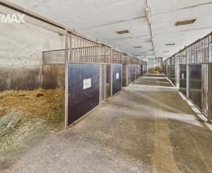 Predaj FARMY | Hurbanovo