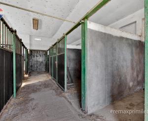 Predaj FARMY | Hurbanovo