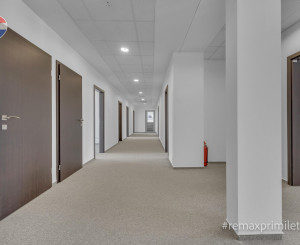 Priestranné kancelárske priestory 300 m² na prenájom | Pestovateľská ulica, Bratislava – Ružinov