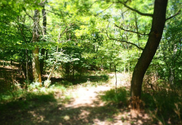 NA PREDAJ: Pozemok (rekreačný) 2033m2, ulica Stará Stupavská, BA III - Rača