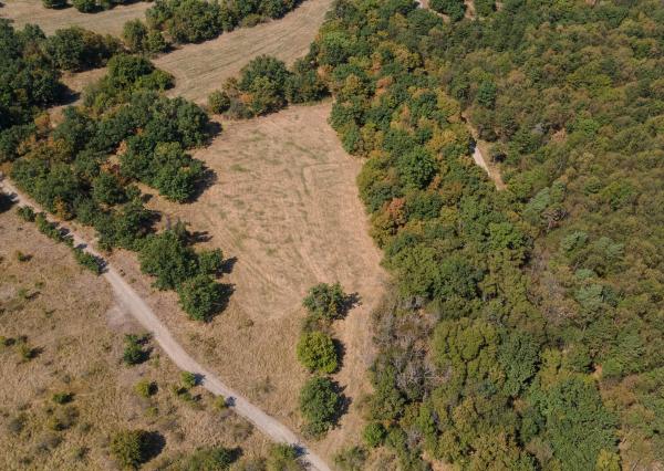 Na predaj pozemok v lokalite Veľké Tŕnie