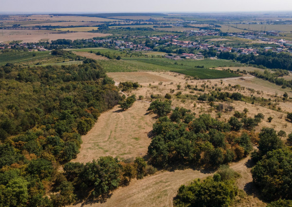 Na predaj pozemok v lokalite Veľké Tŕnie