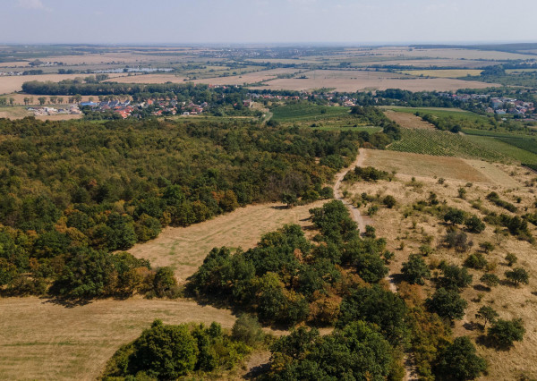 Na predaj pozemok v lokalite Veľké Tŕnie
