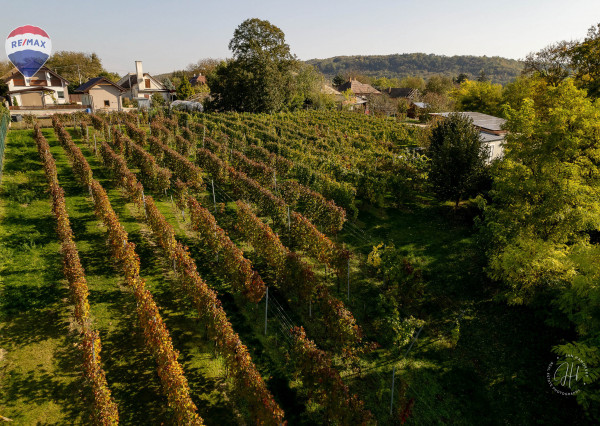 Na predaj exkluzívna usadlosť s nekonečnými možnosťami využitia!