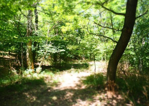 NA PREDAJ: Pozemok (rekreačný) 2033m2, ulica Stará Stupavská, BA III - Rača