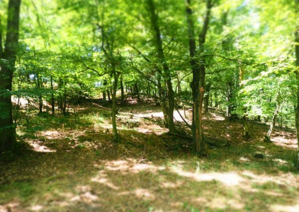 NA PREDAJ: Pozemok (rekreačný) 2033m2, ulica Stará Stupavská, BA III - Rača