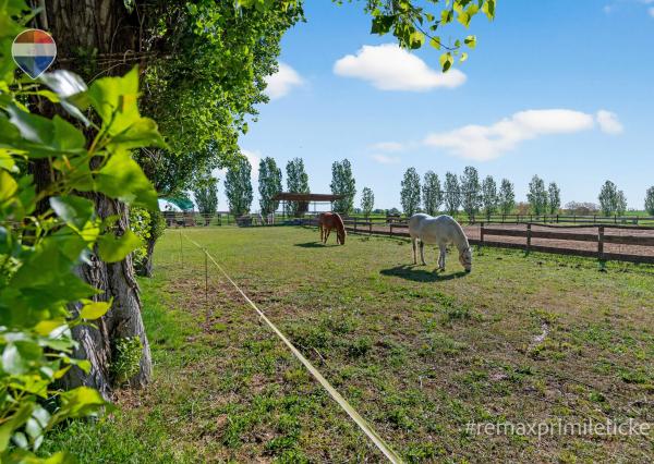 Predaj FARMY | Hurbanovo